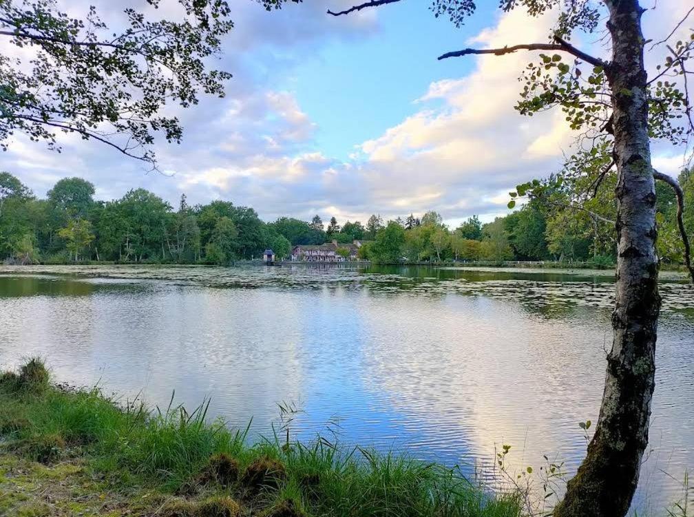 Hotel - Restaurant Le Moulin De Villiers Nouan-le-Fuzelier Dış mekan fotoğraf